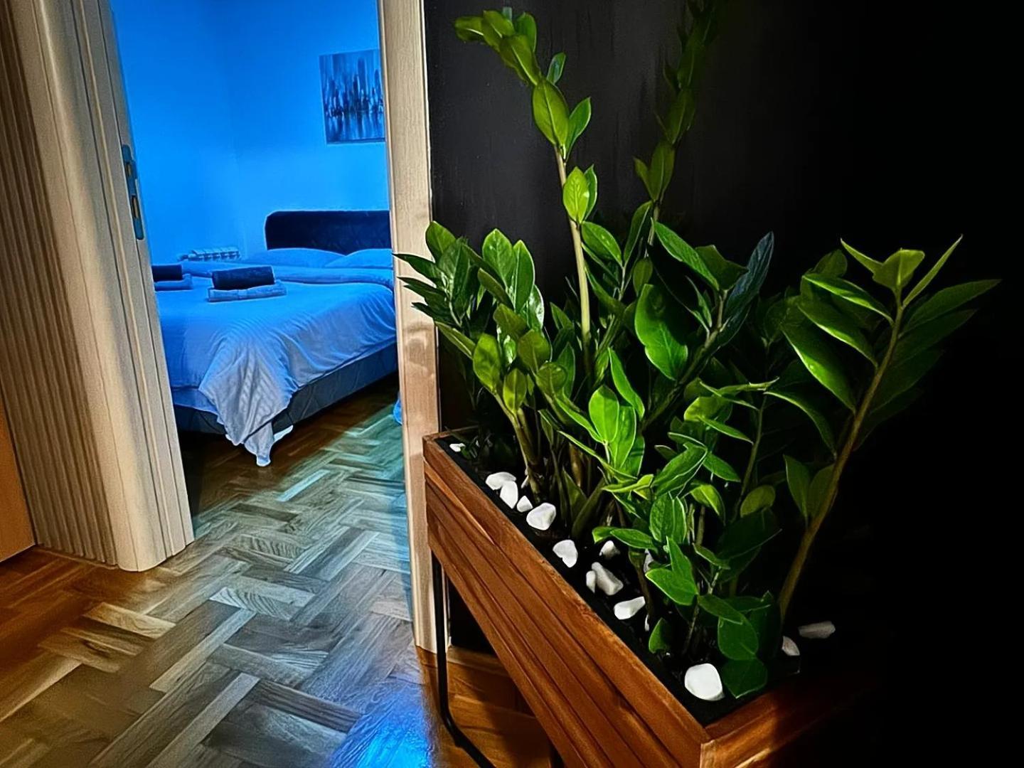 PožarevacStan Na Dan Aurora公寓 外观 照片